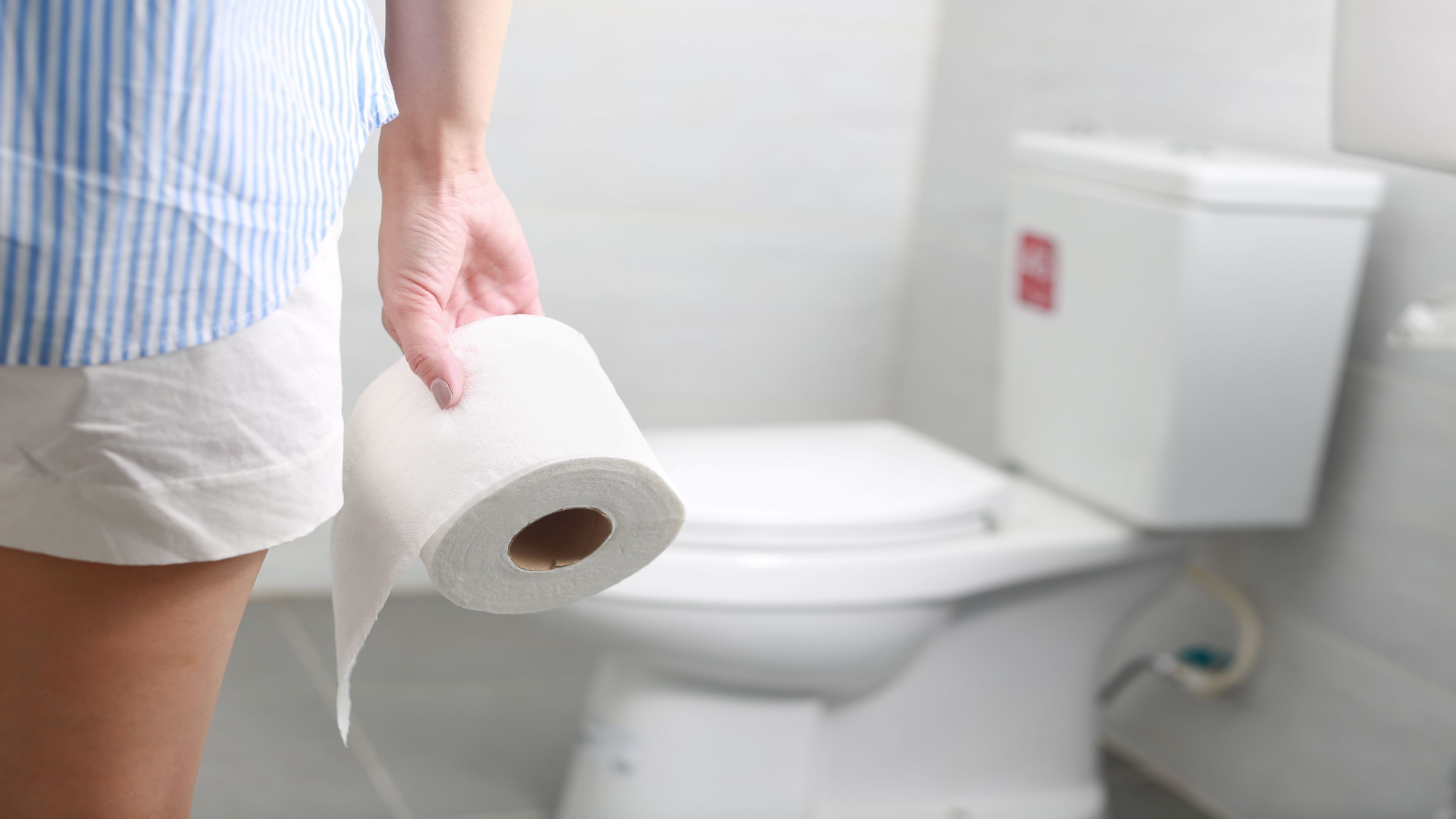トイレットペーパーのロールを持っている人