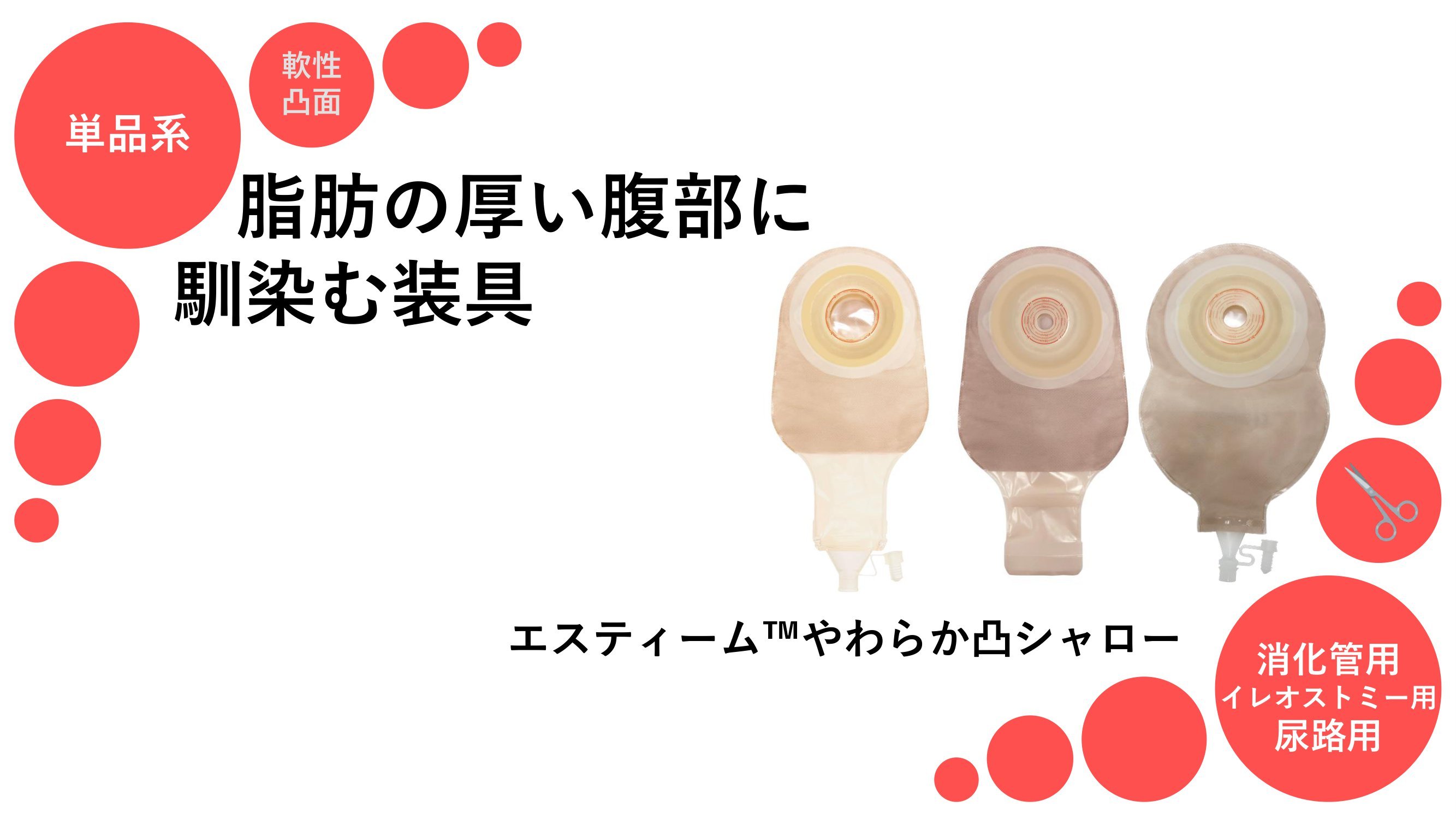 テキスト