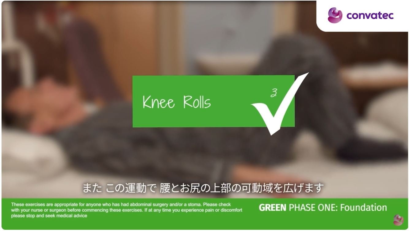 ビデオゲームのスクリーンショット