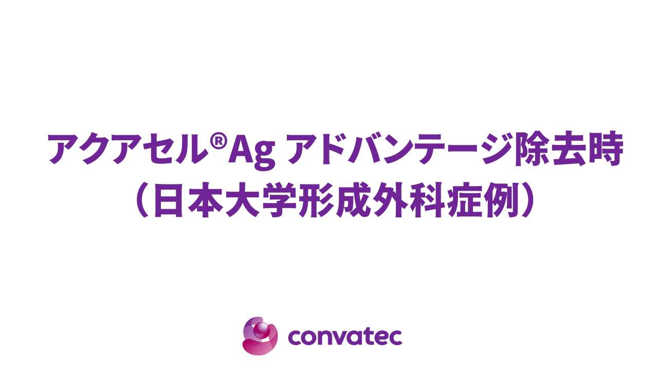 テキスト